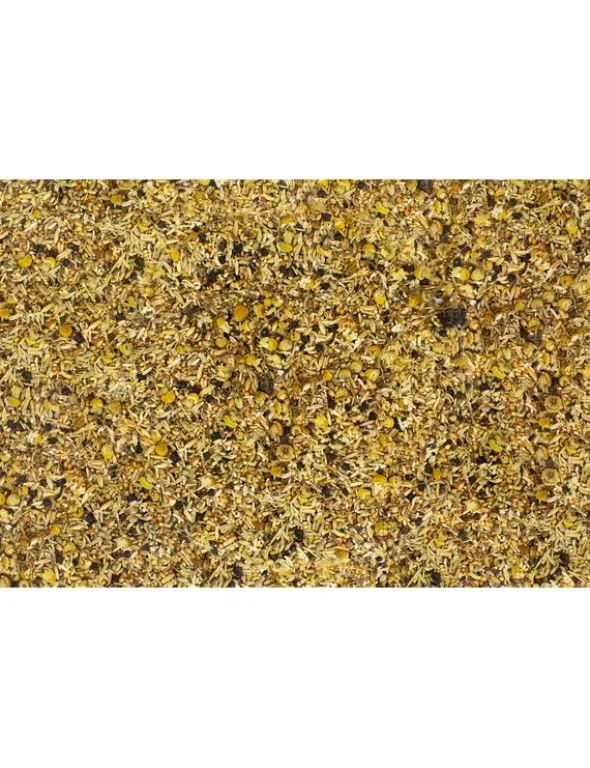 JR Farm Individual Kanarien ohne Rübsen 1kg