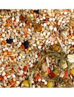 JR Farm Individual Wellensittich 1kg