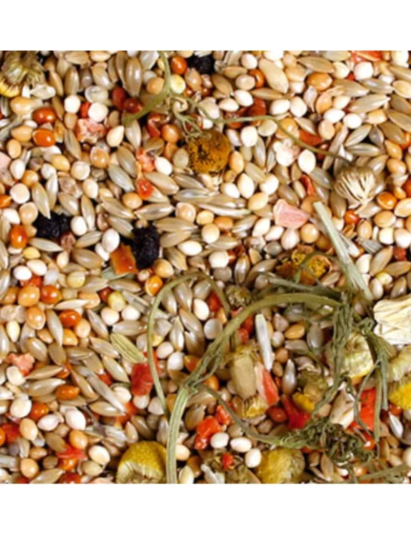 JR Farm Individual Wellensittich 1kg