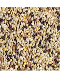 JR Farm Kanarien-Schmaus 1kg