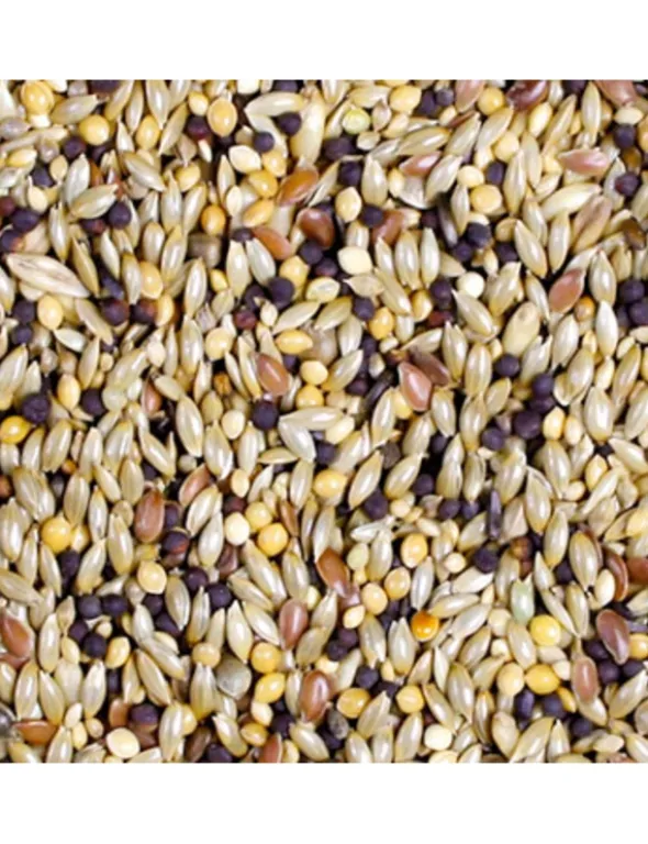 JR Farm Kanarien-Schmaus 1kg