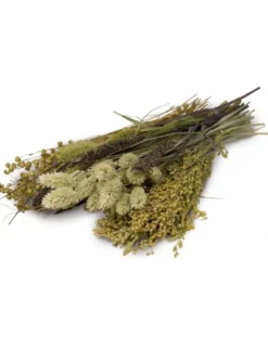 JR Farm Knabber-Potpourri 50g