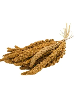 JR Farm Kolbenhirse gelb 500g