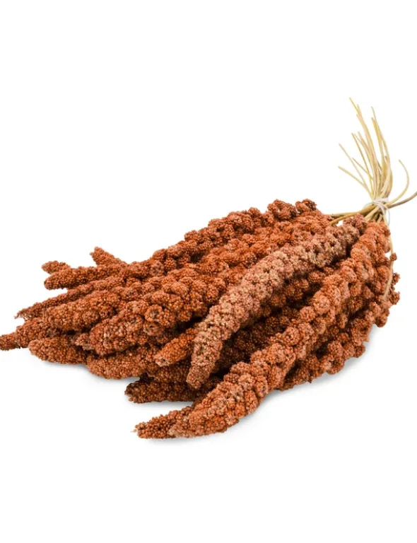 JR Farm Kolbenhirse rot 500g