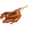 JR Farm Kolbenhirse rot 250g