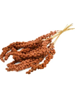JR Farm Kolbenhirse rot 250g