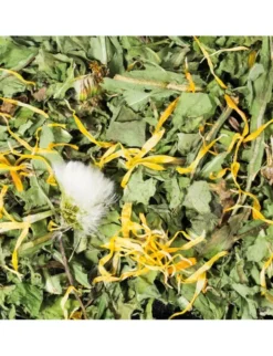 JR Farm Löwenzahn 400g