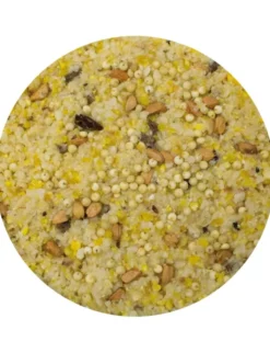 JR Farm Peanut Bar Powersaat 350g
