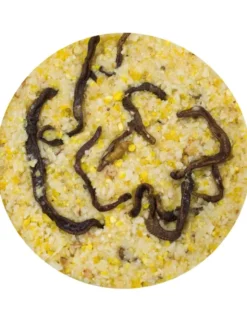 JR Farm Peanut Bar Regenwürmer 350g