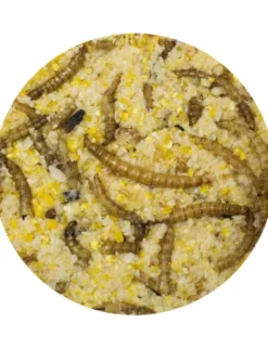 JR Farm Peanut Pot Mehlwürmer 400g