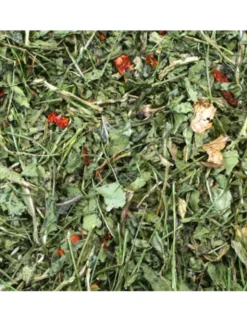 JR Farm Rucola & Tomate 100g
