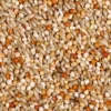 JR Farm Wellensittich-Schmaus 1kg