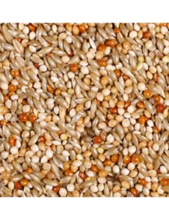 JR Farm Wellensittich-Schmaus 1kg