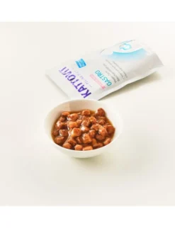KATTOVIT FELINE DIET Gastro Lachs & Reis 85g
