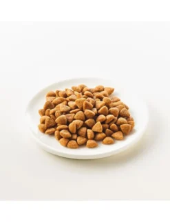 KATTOVIT FELINE DIET Niere/Renal 400g