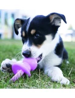 KONG Puppy Binkie S