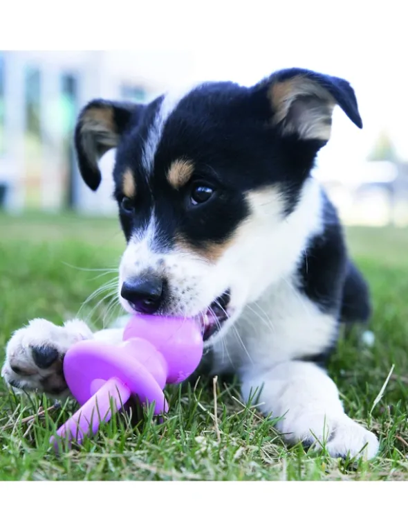 KONG Puppy Binkie S