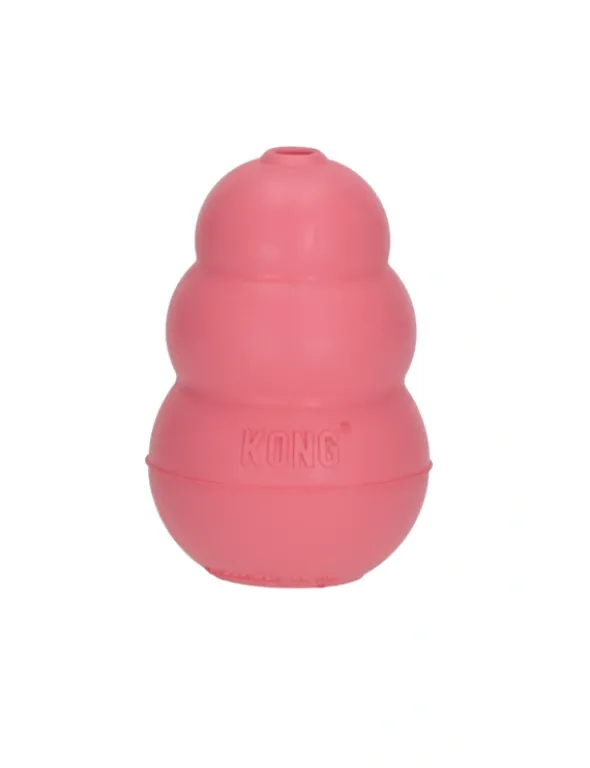 KONG Puppy diverse bis 9 kg