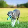 KONG Puppy Goodie Bone diverse S