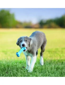 KONG Puppy Goodie Bone diverse S