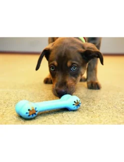 KONG Puppy Goodie Bone diverse S