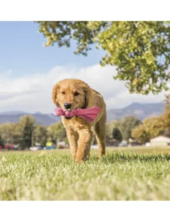 KONG Puppy Wubba S