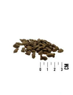 MAC's CAT Adult Lachs & Forelle 1,5kg
