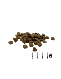 MAC's CAT Kitten Geflügel 300g