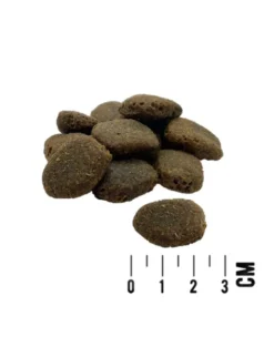 MAC's DOG Mono Frische Pute & Kartoffel 3kg