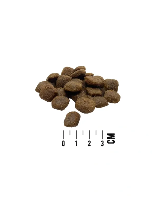MAC's DOG Mono Frisches Pferd 12kg