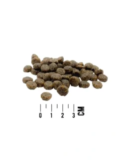 MAC's DOG Mono Puppy Frischer Truthahn & Süßkartoffel 750g