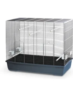 MPS Vogelheim Kloris 99x83,5 cm