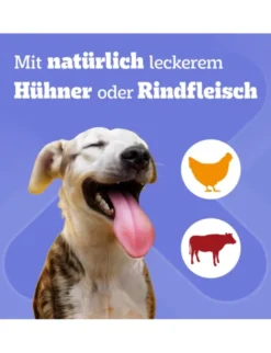 Pedigree Dentastix Daily Oral Care Multipack für kleine Hunde 1,1kg