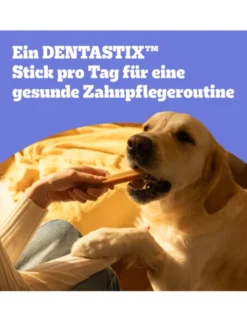 Pedigree Dentastix Daily Oral Care Multipack für kleine Hunde 1,1kg