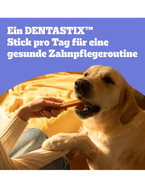 Pedigree Dentastix Daily Oral Care Multipack für kleine Hunde 1,1kg