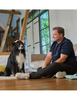 Petchen Feuchttücher für Hunde