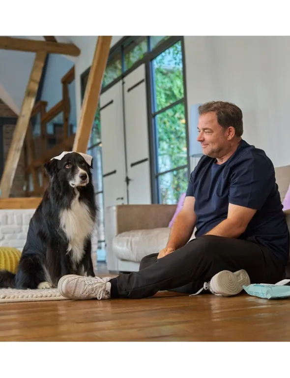 Petchen Feuchttücher für Hunde