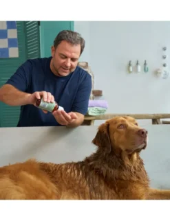 Petchen Hundeshampoo Kurzhaar 250ml
