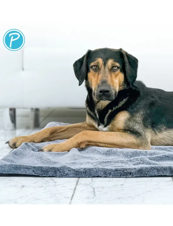 Petlando Decke Alaska grau 90 x 65 cm