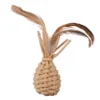 Petlando Earthcat Catnip Ananas
