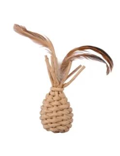 Petlando Earthcat Catnip Ananas