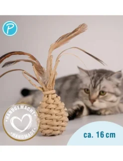 Petlando Earthcat Catnip Ananas