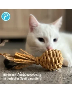 Petlando Earthcat Catnip Ananas