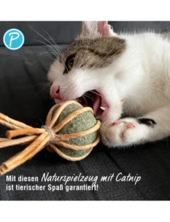 Petlando Earthcat Catnip Bonbon