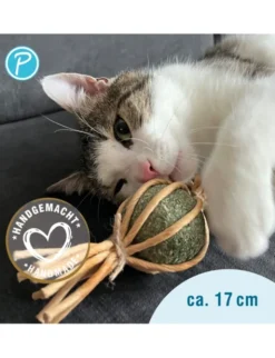 Petlando Earthcat Catnip Bonbon