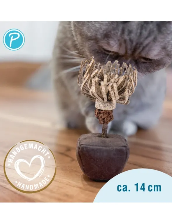 Petlando Earthcat Catnip Chrysantheme