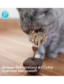 Petlando Earthcat Catnip Chrysantheme