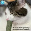 Petlando Earthcat Catnip Eis am Stiel