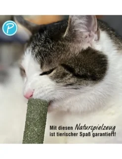 Petlando Earthcat Catnip Eis am Stiel