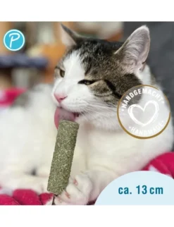 Petlando Earthcat Catnip Eis am Stiel